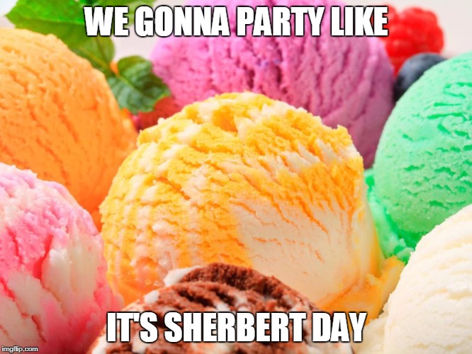 GO SHAWTY! IT'S SHERBERT DAY! | WE GONNA PARTY LIKE; IT'S SHERBERT DAY | image tagged in sherbert | made w/ Imgflip meme maker