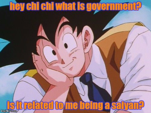 Condescending Goku | hey chi chi what is government? is it related to me being a saiyan? | image tagged in memes,condescending goku | made w/ Imgflip meme maker