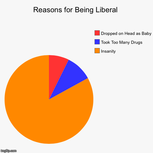 image tagged in funny,pie charts,liberals | made w/ Imgflip chart maker