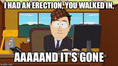 And There Goes My Erection | I HAD AN ERECTION, YOU WALKED IN, AAAAAND IT'S GONE | image tagged in memes,aaaaand its gone,scumbag,erection | made w/ Imgflip meme maker