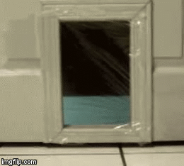 what if this is why Grumpy Cat is Grumpy? - Imgflip