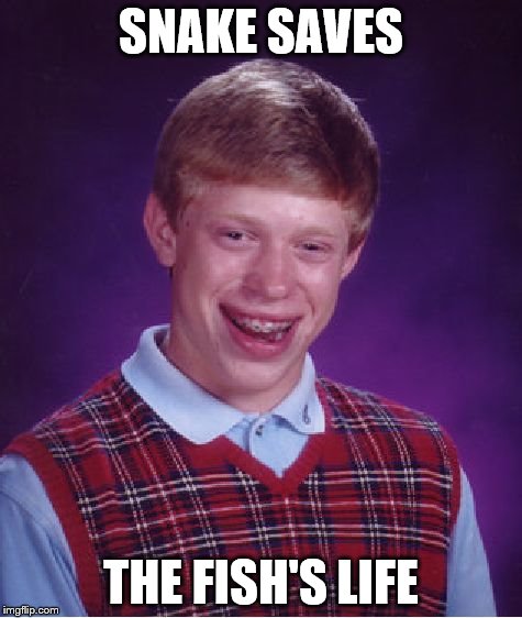 Bad Luck Brian Meme | SNAKE SAVES THE FISH'S LIFE | image tagged in memes,bad luck brian | made w/ Imgflip meme maker