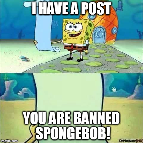 Spongebob_licenta | I HAVE A POST; YOU ARE BANNED SPONGEBOB! | image tagged in spongebob_licenta | made w/ Imgflip meme maker