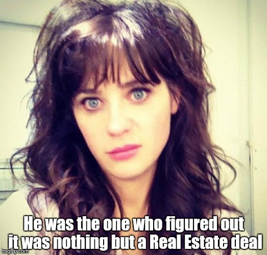 Zooey Deschanel | He was the one who figured out it was nothing but a Real Estate deal | image tagged in zooey deschanel | made w/ Imgflip meme maker