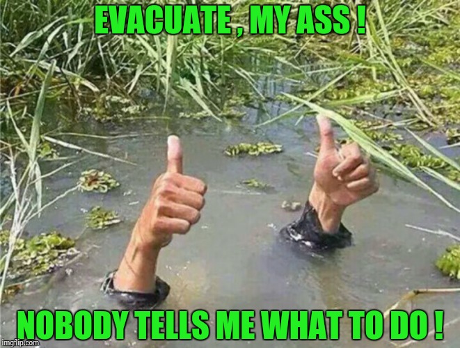 You just know there's always going to be that one guy , good luck TEXAS ! | EVACUATE , MY ASS ! NOBODY TELLS ME WHAT TO DO ! | image tagged in drowning thumbs up,hurricane,i told you,get out | made w/ Imgflip meme maker