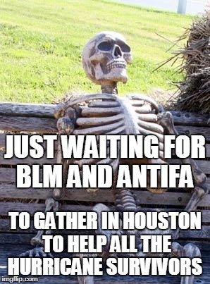 It's not gonna happen.  | JUST WAITING FOR BLM AND ANTIFA; TO GATHER IN HOUSTON TO HELP ALL THE HURRICANE SURVIVORS | image tagged in memes,waiting skeleton,hurricane harvey,houston,blm,antifa | made w/ Imgflip meme maker