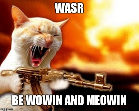 machine gun cat | WASR; BE WOWIN AND MEOWIN | image tagged in machine gun cat | made w/ Imgflip meme maker