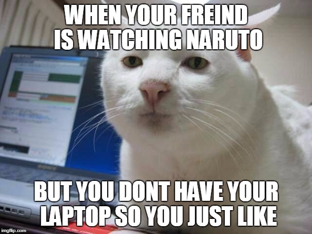 srsly cat | WHEN YOUR FREIND IS WATCHING NARUTO; BUT YOU DONT HAVE YOUR LAPTOP SO YOU JUST LIKE | image tagged in srsly cat | made w/ Imgflip meme maker