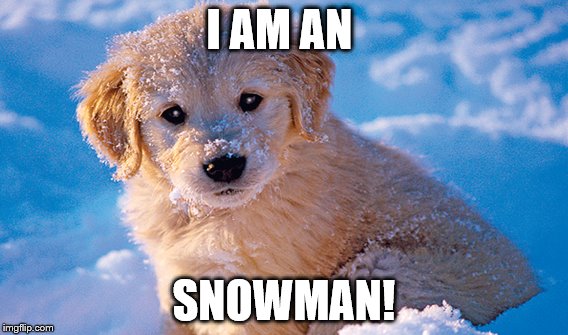 Snowman Dog! | I AM AN; SNOWMAN! | image tagged in memes | made w/ Imgflip meme maker