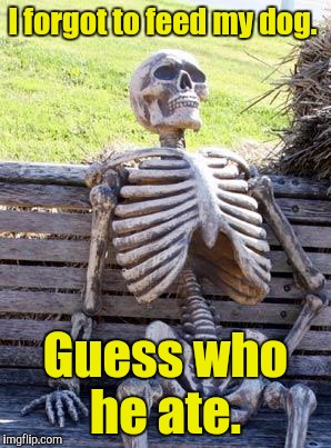 Waiting Skeleton Meme | I forgot to feed my dog. Guess who he ate. | image tagged in memes,waiting skeleton | made w/ Imgflip meme maker