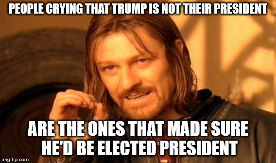 I'm not a Trump supporter, but I have to pass this along. | PEOPLE CRYING THAT TRUMP IS NOT THEIR PRESIDENT; ARE THE ONES THAT MADE SURE HE'D BE ELECTED PRESIDENT | image tagged in memes,one does not simply,trump haters | made w/ Imgflip meme maker