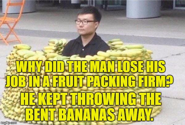 Banana fort | WHY DID THE MAN LOSE HIS JOB IN A FRUIT PACKING FIRM? HE KEPT THROWING THE BENT BANANAS AWAY. | image tagged in banana fort | made w/ Imgflip meme maker