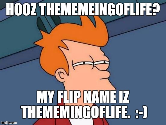 Futurama Fry Meme | HOOZ THEMEMEINGOFLIFE? MY FLIP NAME IZ THEMEMINGOFLIFE.  :-) | image tagged in memes,futurama fry | made w/ Imgflip meme maker