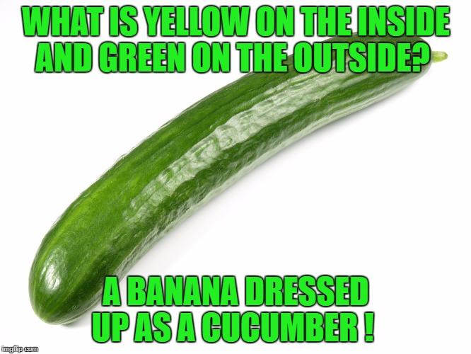 cucumber | WHAT IS YELLOW ON THE INSIDE AND GREEN ON THE OUTSIDE? A BANANA DRESSED UP AS A CUCUMBER ! | image tagged in cucumber | made w/ Imgflip meme maker