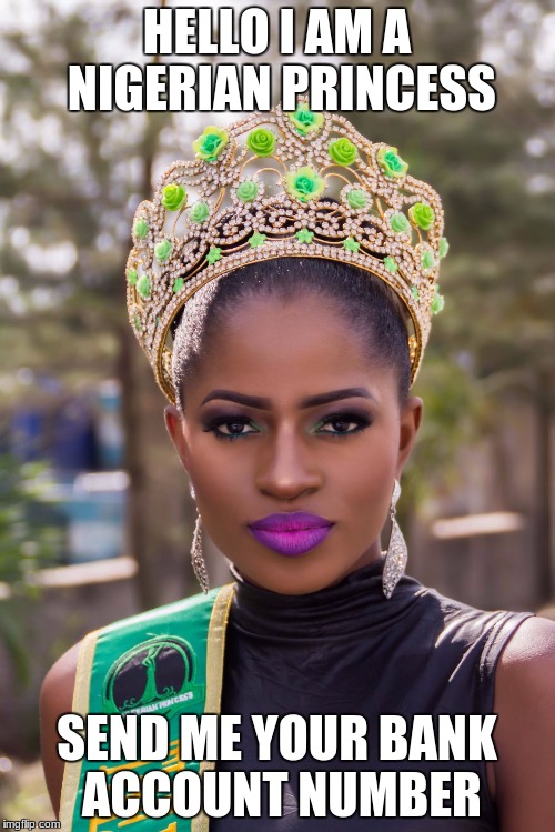 HELLO I AM A NIGERIAN PRINCESS SEND ME YOUR BANK ACCOUNT NUMBER | made w/ Imgflip meme maker