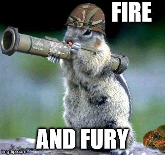 Bazooka Squirrel Meme | FIRE; AND FURY | image tagged in memes,bazooka squirrel | made w/ Imgflip meme maker