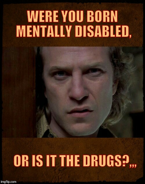 Buffalo Bill, Are you serious?,,, | WERE YOU BORN MENTALLY DISABLED, OR IS IT THE DRUGS?,,, | image tagged in buffalo bill are you serious?   | made w/ Imgflip meme maker