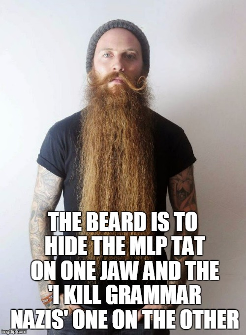 THE BEARD IS TO HIDE THE MLP TAT ON ONE JAW AND THE 'I KILL GRAMMAR NAZIS' ONE ON THE OTHER | made w/ Imgflip meme maker