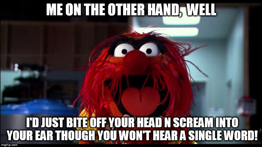 animal - style! | ME ON THE OTHER HAND,  WELL; I'D JUST BITE OFF YOUR HEAD N SCREAM INTO YOUR EAR THOUGH YOU WON'T HEAR A SINGLE WORD! | image tagged in animal  muppets | made w/ Imgflip meme maker
