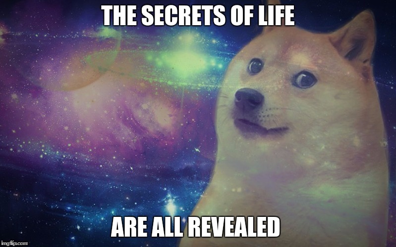 Space Doge | THE SECRETS OF LIFE; ARE ALL REVEALED | image tagged in space doge | made w/ Imgflip meme maker