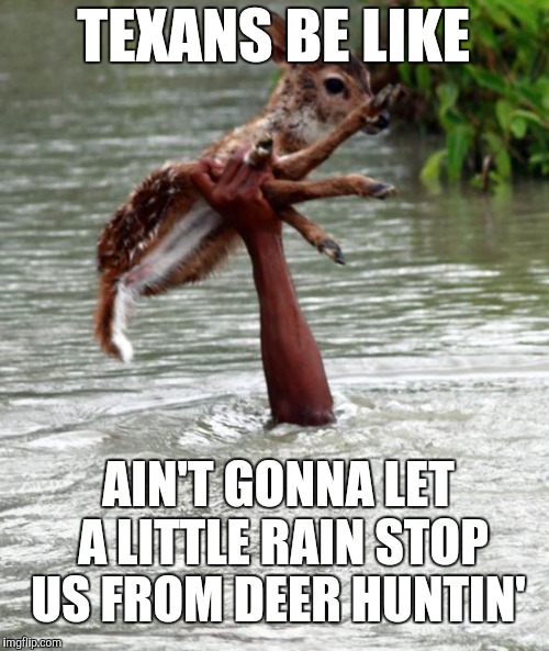 Texans be like  |  TEXANS BE LIKE; AIN'T GONNA LET A LITTLE RAIN STOP US FROM DEER HUNTIN' | image tagged in deer,jbmemegeek,hurricane harvey,texans,houston texans,harvey | made w/ Imgflip meme maker