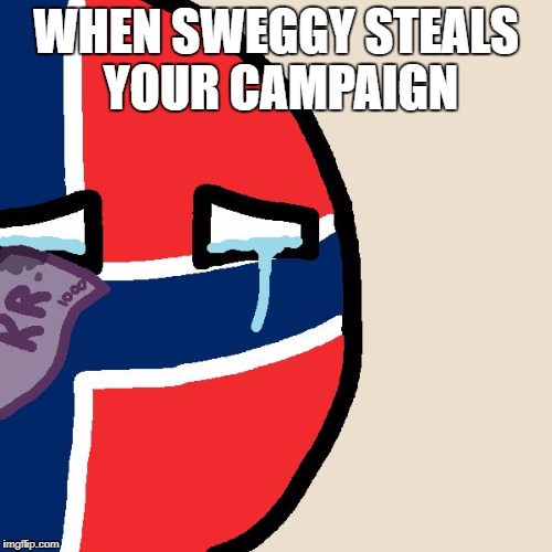 Crying Norway | WHEN SWEGGY STEALS YOUR CAMPAIGN | image tagged in crying norway | made w/ Imgflip meme maker