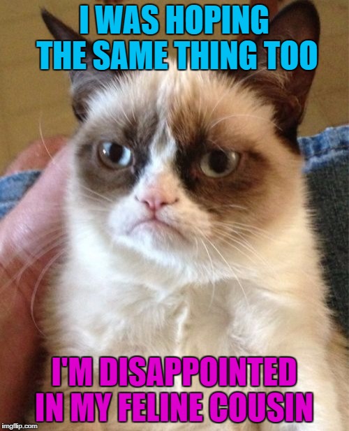 Grumpy Cat Meme | I WAS HOPING THE SAME THING TOO; I'M DISAPPOINTED IN MY FELINE COUSIN | image tagged in memes,grumpy cat | made w/ Imgflip meme maker