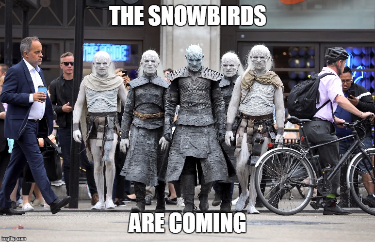 THE SNOWBIRDS; ARE COMING | image tagged in white walker | made w/ Imgflip meme maker