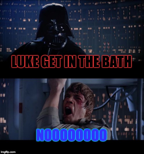 Star Wars No Meme | LUKE GET IN THE BATH; NOOOOOOOO | image tagged in memes,star wars no | made w/ Imgflip meme maker