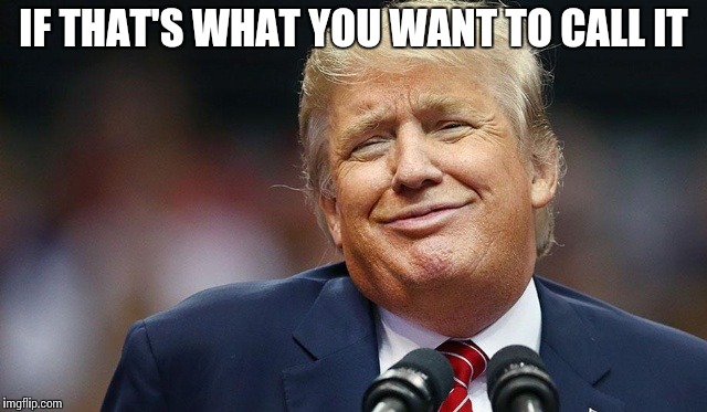 Trump Oopsie | IF THAT'S WHAT YOU WANT TO CALL IT | image tagged in trump oopsie | made w/ Imgflip meme maker