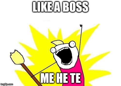 X All The Y | LIKE A BOSS; ME HE TE | image tagged in memes,x all the y | made w/ Imgflip meme maker