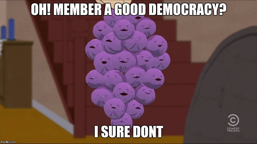 member WHA!? | OH! MEMBER A GOOD DEMOCRACY? I SURE DONT | image tagged in memes,member berries | made w/ Imgflip meme maker