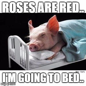 ROSES ARE RED.. I'M GOING TO BED.. | made w/ Imgflip meme maker