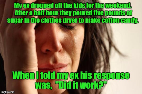First World Problems Meme | My ex dropped off the kids for the weekend. After a half hour they poured five pounds of sugar in the clothes dryer to make cotton candy. When I told my ex his response was,  "Did it work?" | image tagged in memes,first world problems | made w/ Imgflip meme maker