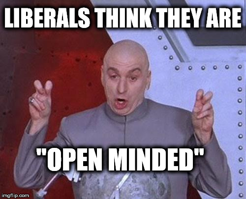 Dr Evil Laser Meme | LIBERALS THINK THEY ARE "OPEN MINDED" | image tagged in memes,dr evil laser | made w/ Imgflip meme maker