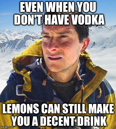 EVEN WHEN YOU DON'T HAVE VODKA LEMONS CAN STILL MAKE YOU A DECENT DRINK | made w/ Imgflip meme maker