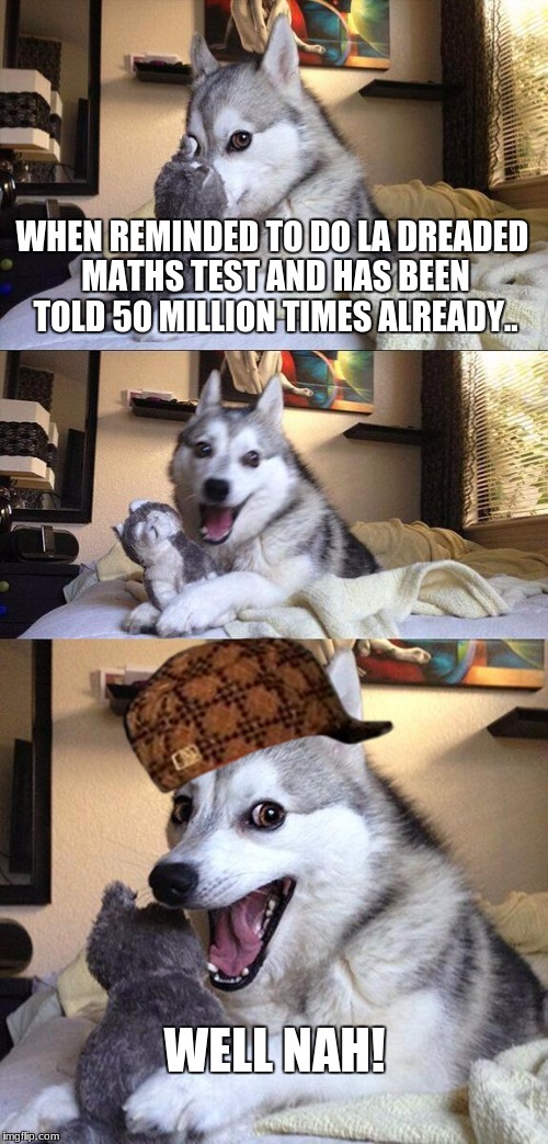 Bad Pun Dog | WHEN REMINDED TO DO LA DREADED MATHS TEST AND HAS BEEN TOLD 50 MILLION TIMES ALREADY.. WELL NAH! | image tagged in memes,bad pun dog,scumbag | made w/ Imgflip meme maker