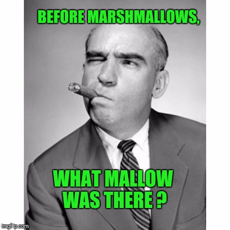 The (Union) Thinker | BEFORE MARSHMALLOWS, WHAT MALLOW WAS THERE ? | image tagged in memes,funny,the thinker,thinking,think | made w/ Imgflip meme maker