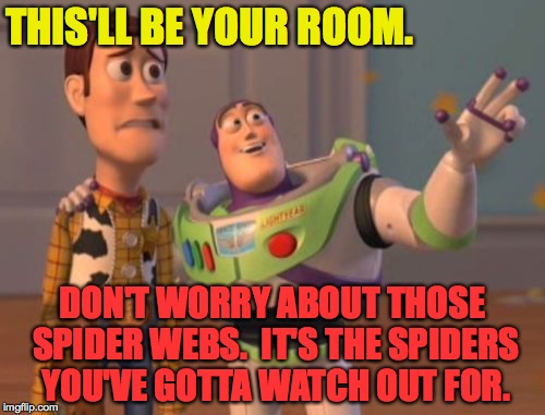 Spiders.  Spiders everywhere. | THIS'LL BE YOUR ROOM. DON'T WORRY ABOUT THOSE SPIDER WEBS.  IT'S THE SPIDERS YOU'VE GOTTA WATCH OUT FOR. | image tagged in memes,spiders,buzz driving woody,funny,x x everywhere | made w/ Imgflip meme maker