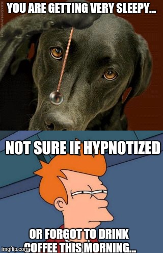 Comment I made in a Raydog meme a bit ago, thought it deserves to be submitted. | YOU ARE GETTING VERY SLEEPY... NOT SURE IF HYPNOTIZED; OR FORGOT TO DRINK COFFEE THIS MORNING... | image tagged in hypnosis,futurama fry | made w/ Imgflip meme maker