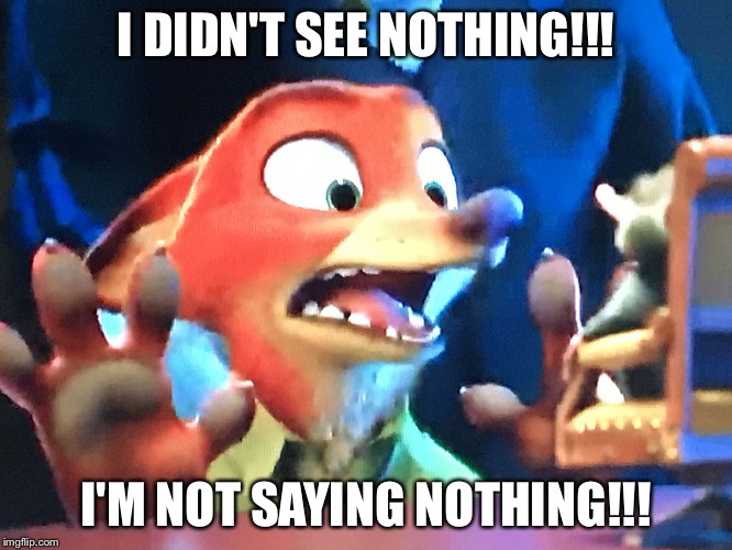 I DIDN'T SEE NOTHING!!! I'M NOT SAYING NOTHING!!! | image tagged in i didn't see nothing | made w/ Imgflip meme maker