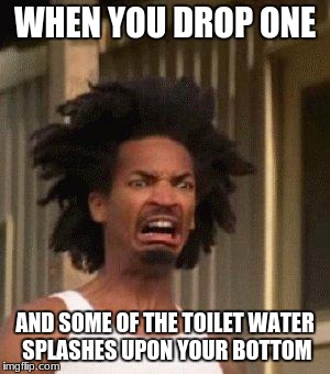 Recoil in the bathroom | WHEN YOU DROP ONE; AND SOME OF THE TOILET WATER SPLASHES UPON YOUR BOTTOM | image tagged in disgusted face | made w/ Imgflip meme maker