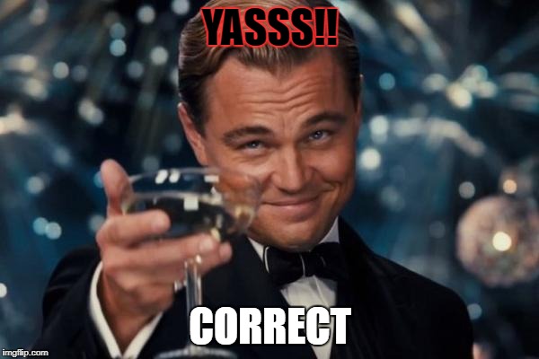 Leonardo Dicaprio Cheers Meme | YASSS!! CORRECT | image tagged in memes,leonardo dicaprio cheers | made w/ Imgflip meme maker