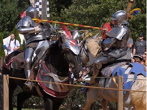 High Quality Jousting  Blank Meme Template