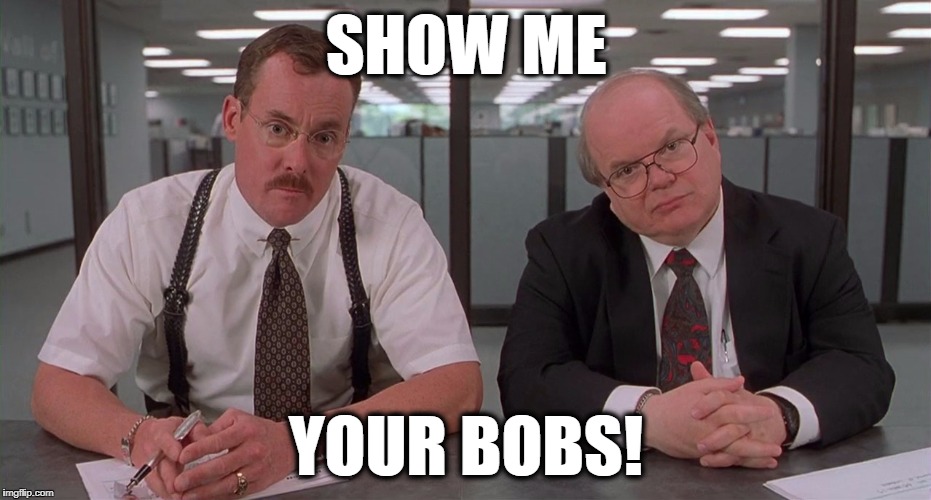 the bobs | SHOW ME; YOUR BOBS! | image tagged in the bobs | made w/ Imgflip meme maker