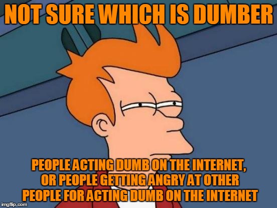 Futurama Fry Meme | NOT SURE WHICH IS DUMBER; PEOPLE ACTING DUMB ON THE INTERNET, OR PEOPLE GETTING ANGRY AT OTHER PEOPLE FOR ACTING DUMB ON THE INTERNET | image tagged in memes,futurama fry | made w/ Imgflip meme maker
