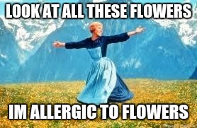 Look At All These Meme | LOOK AT ALL THESE FLOWERS; IM ALLERGIC TO FLOWERS | image tagged in memes,look at all these | made w/ Imgflip meme maker