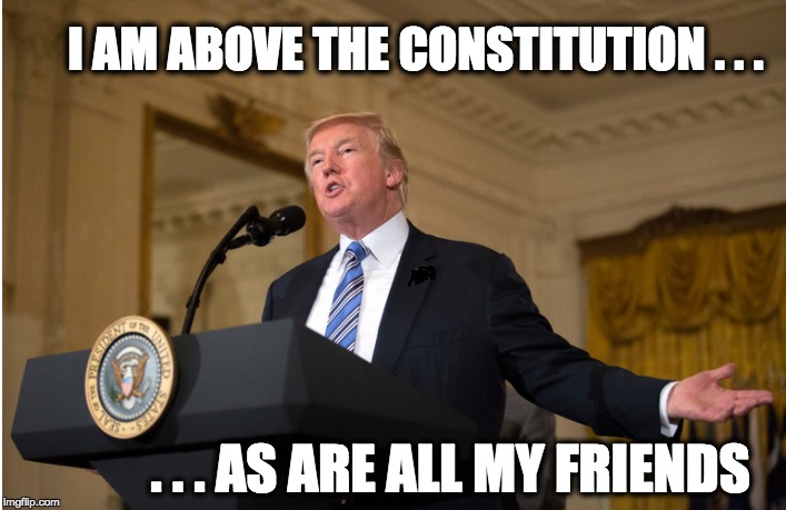 I AM ABOVE THE CONSTITUTION . . . . . . AS ARE ALL MY FRIENDS | image tagged in memes | made w/ Imgflip meme maker