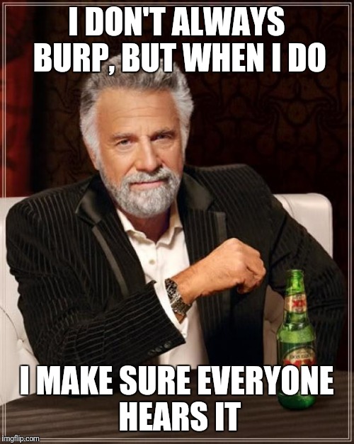 The Most Interesting Man In The World Meme | I DON'T ALWAYS BURP, BUT WHEN I DO; I MAKE SURE EVERYONE HEARS IT | image tagged in memes,the most interesting man in the world | made w/ Imgflip meme maker