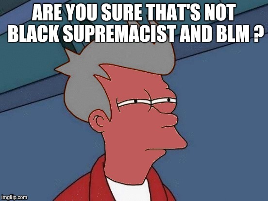 Futurama Fry | ARE YOU SURE THAT'S NOT BLACK SUPREMACIST AND BLM ? | image tagged in futurama fry | made w/ Imgflip meme maker